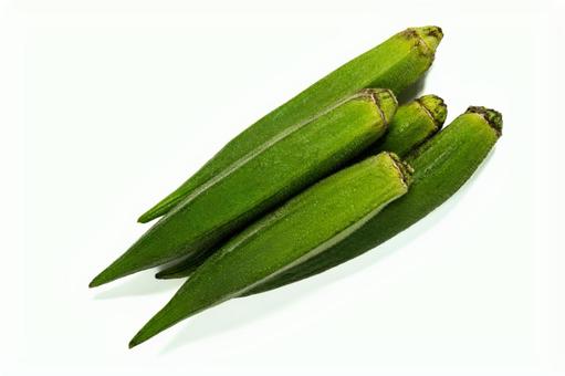 夏野菜のオクラ 夏野菜のオクラの写真