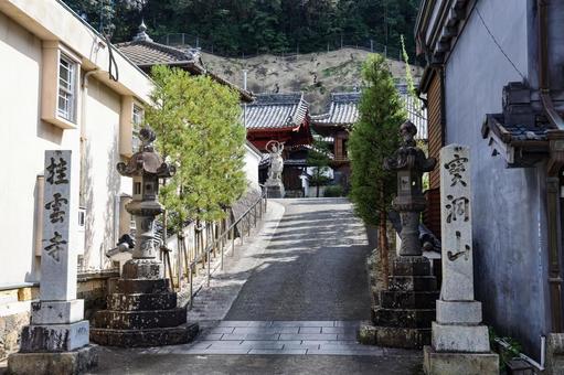 桂雲寺入口 桂雲寺入口 桂雲寺,寺標,山号の写真素材
