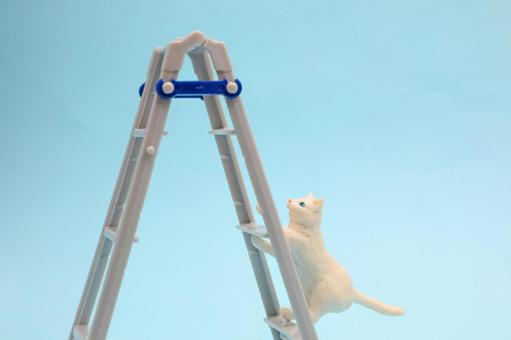 梯子を上る猫のイメージ 梯子を上る猫のイメージの写真