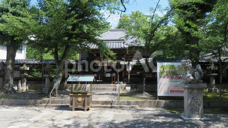 名古屋東照宮　唐門と本殿 名古屋東照宮,東照宮,徳川家康の写真素材