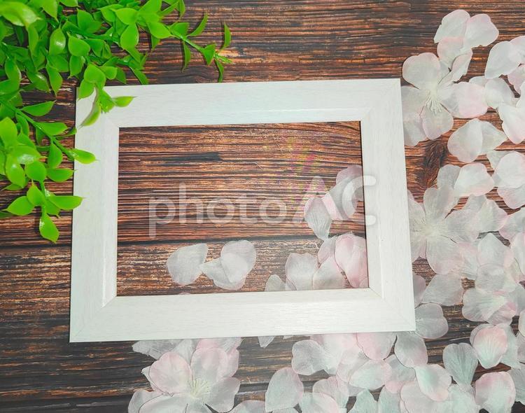 桜の花びら/フォトフレーム 卒業式,入学式,卒業の写真素材