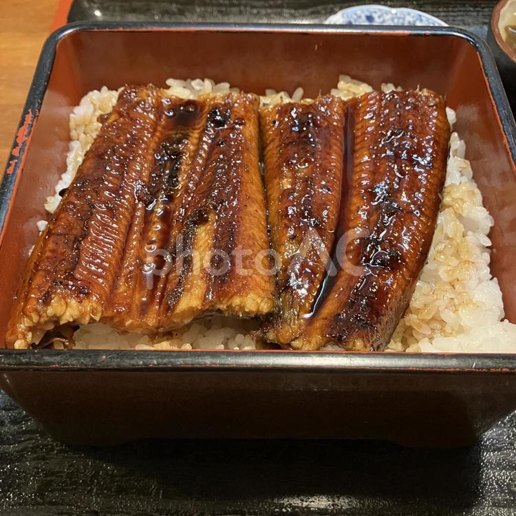 鰻重　イメージ 鰻重,鰻,蒲焼きの写真素材