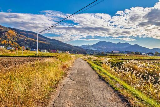 ススキ揺れる田舎の畔道 田舎,あぜ道,ススキの写真素材