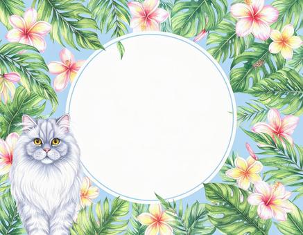 ペルシャ猫と南国風の花のフレームの写真