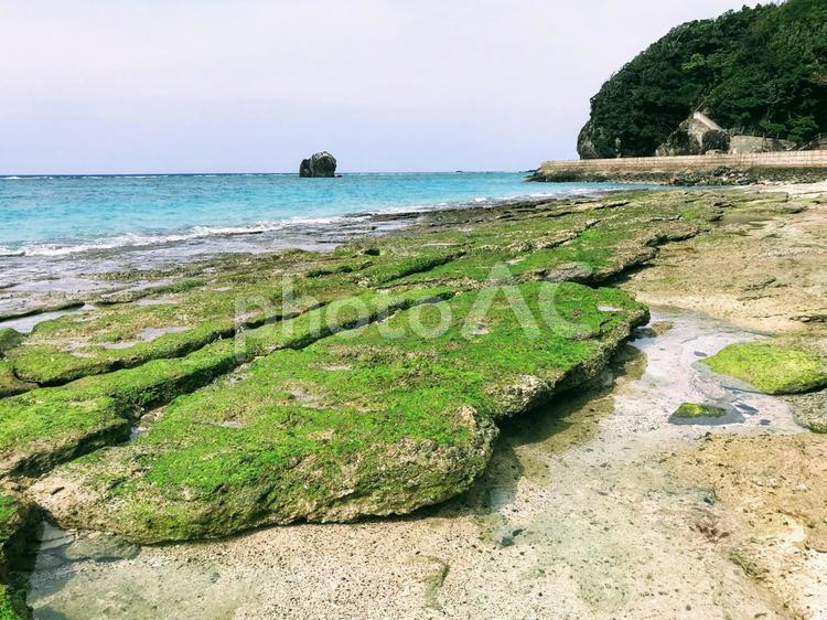 アオサと海と小島 砂浜,夏,南の島の写真素材