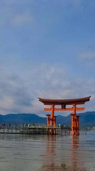 厳島神社大鳥居の工事用通路 厳島神社大鳥居の工事用通路 宮島,厳島神社,大鳥居の写真素材