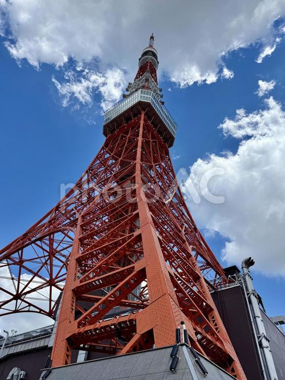 東京タワー　角から上方向 tokyo,tower,東京の写真素材