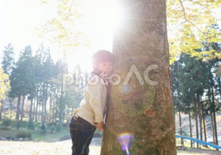 木のぬくもり 子供,男の子,木の写真素材