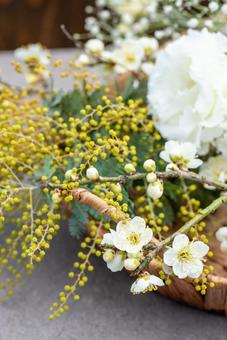 かごの白梅とミモザの花 かごの白梅とミモザの花の写真
