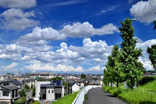 夏の坂道 夏の坂道の写真