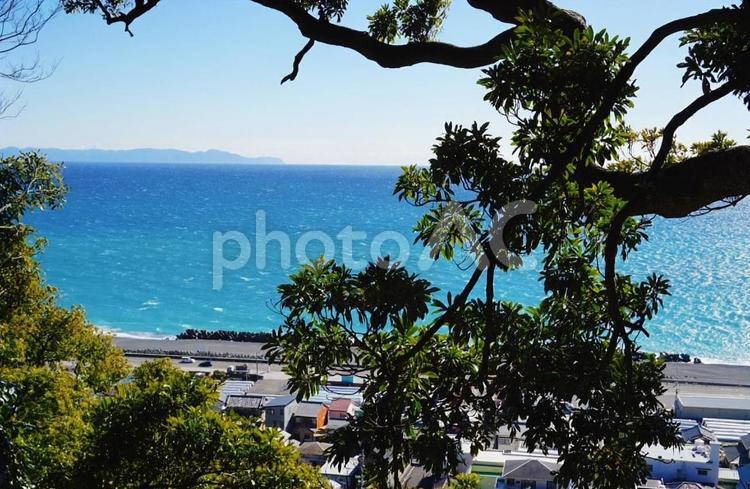 木と海 海,空,青空の写真素材