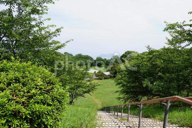 瀬戸内海国立公園後山 広島県,福山市,沼隈町の写真素材