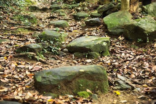 苔に覆われた石 天然,石,遊歩道の写真素材