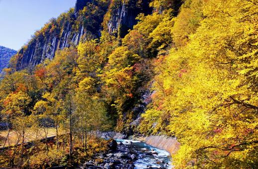 天人峡の紅葉 天人峡の紅葉 天人峡,崖,川の写真素材