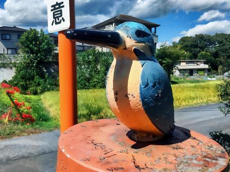 Photo, kingfishers, object, chichibu, 