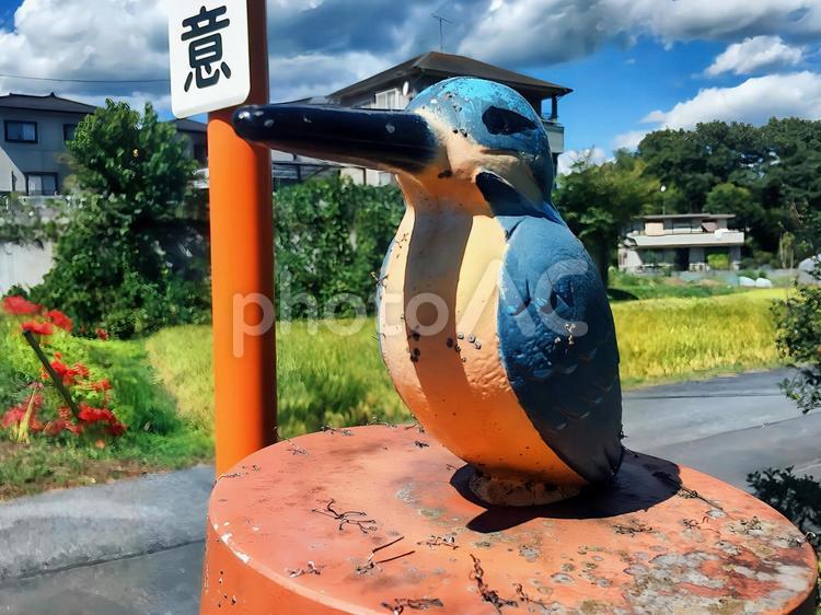 カワセミのオブジェ カワセミ,オブジェ,秩父の写真素材