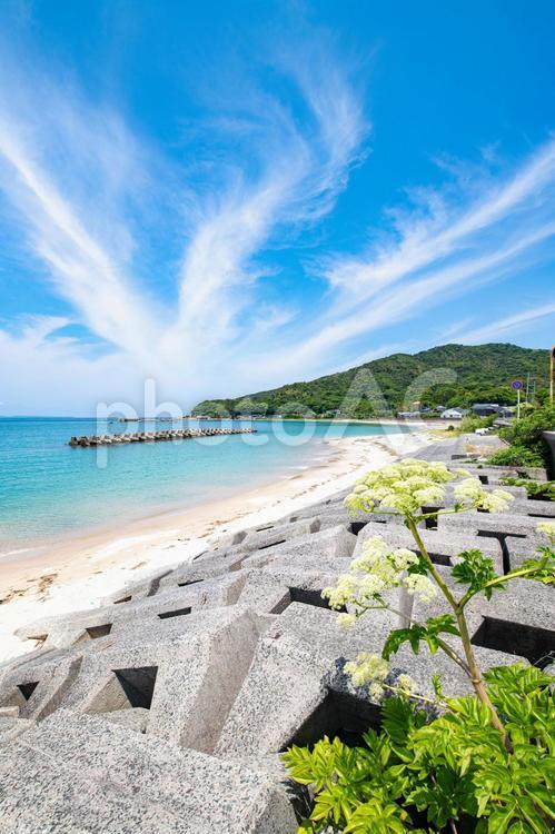 海岸沿いから眺める海の見える景色 海,空,風景の写真素材