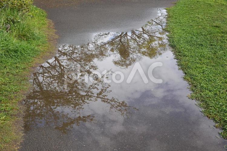 水たまりに反射した景色 水たまり,景色,公園の写真素材