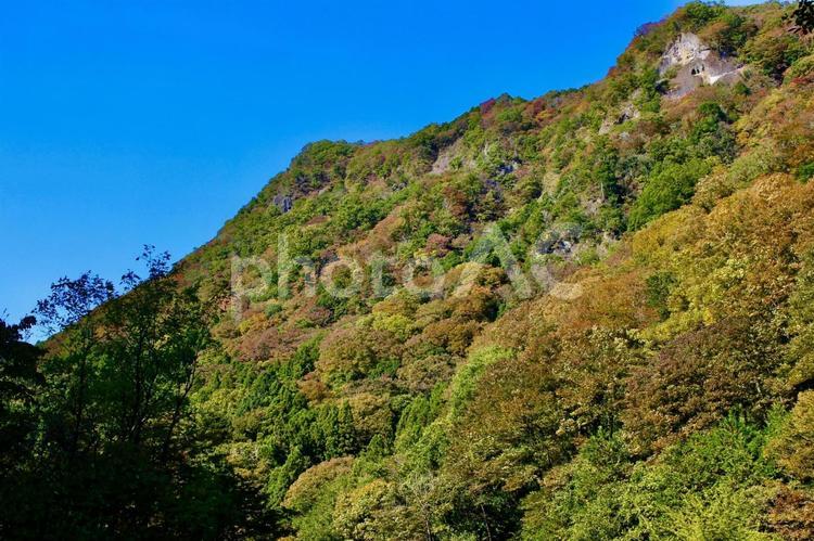 大子町　袋田の滝　ハイキング 秋,自然,風景の写真素材