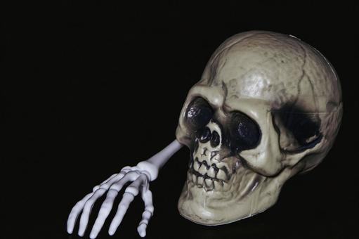 不気味な骸骨の置物 髑髏,骸骨,頭蓋骨の写真素材