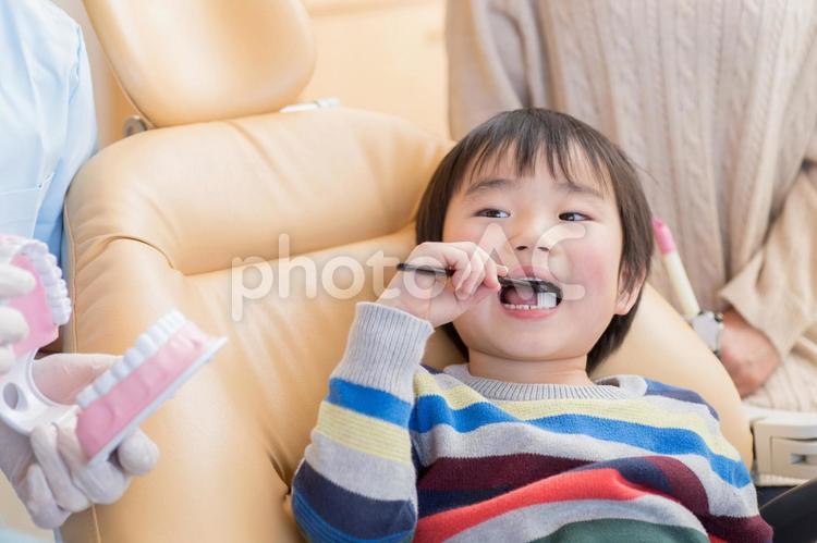 歯磨き指導を受ける子供 歯磨き指導,虫歯予防,歯磨きの写真素材