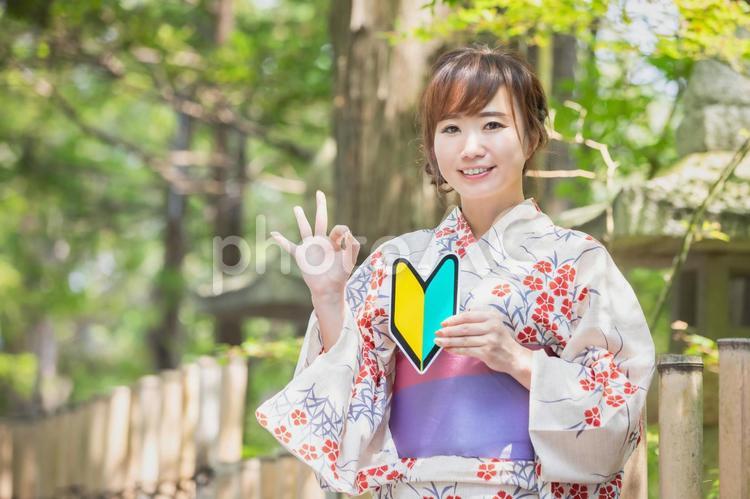 初心者マークを持つ浴衣姿の女性 浴衣,女性,初心者の写真素材