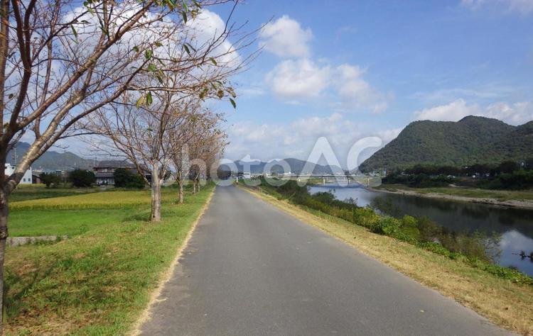 10月の川沿い　桜 自然,景色,風景の写真素材