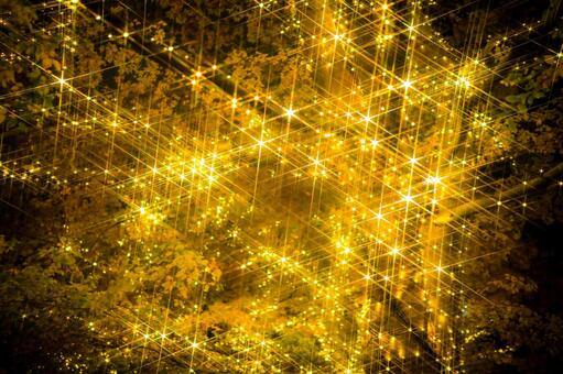 黄金色に輝く樹木 イルミネーション,光,木の写真素材