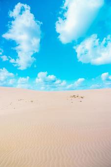【鳥取】青空と鳥取砂丘 鳥取砂丘,砂丘,鳥取の写真素材