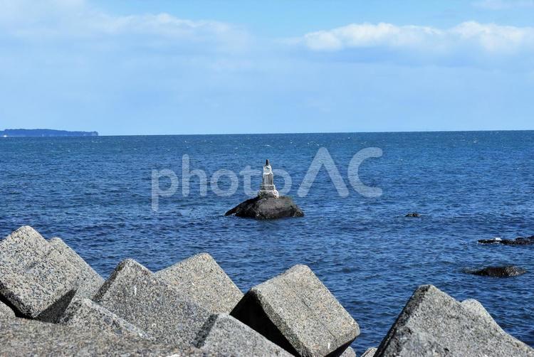 別府　上人ヶ浜公園にて撮影 海,海岸,風景の写真素材