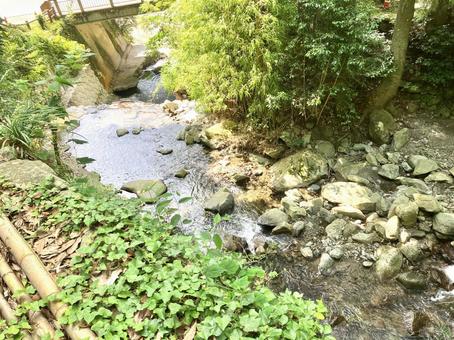 Photo, chuan, clear stream, early summer, 
