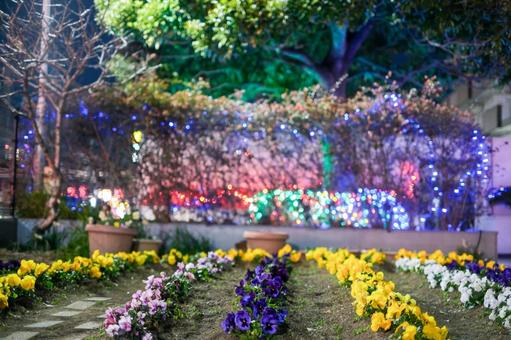 花壇のライトアップ 花壇のライトアップの写真