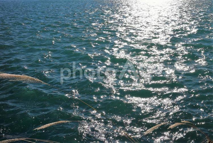 キラキラと秋の日差しに輝く海 海,日差し,輝くの写真素材