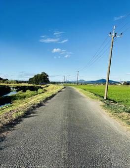 川と田んぼに挟まれた直線の農道と夏の青空 川と田んぼに挟まれた直線の農道と夏の青空 川沿いの道,田んぼ,田園の写真素材