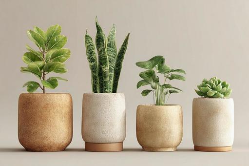 モダンな植木鉢に植えられた4つの観葉植物の写真