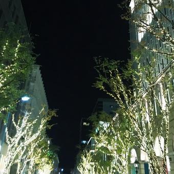イルミネーション イルミネーションの写真