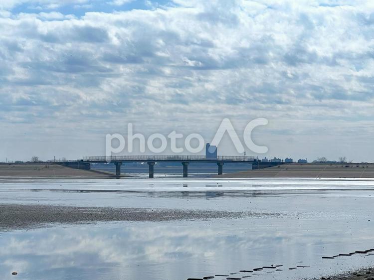 渡良瀬遊水地から古河市を望む風景 渡良瀬遊水地,古河市,大橋の写真素材
