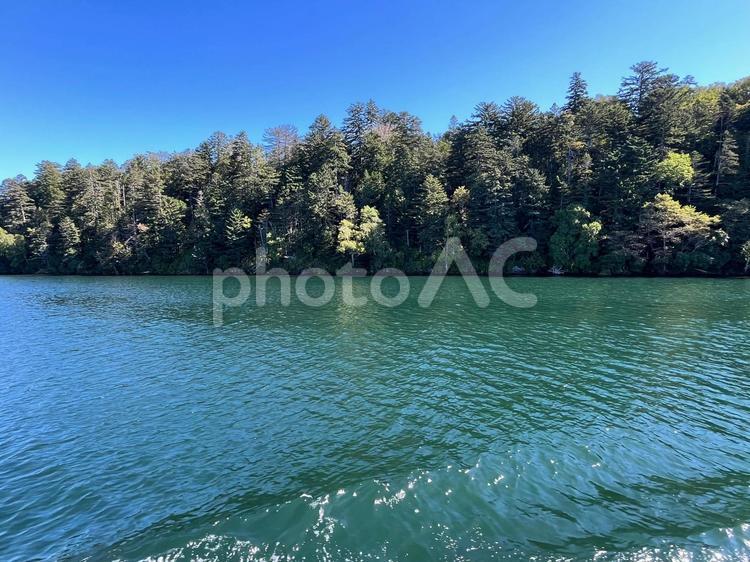 波に揺れる湖面と森と青空 湖,湖面,森の写真素材