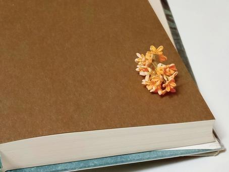 秋の読書 読書,本,資料の写真素材