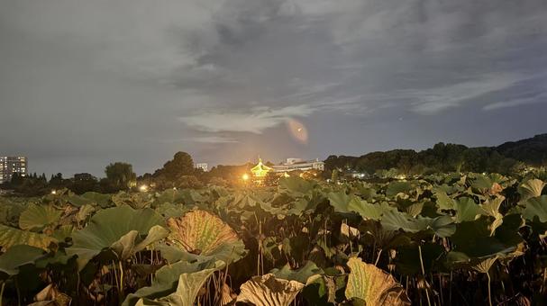 上野公園からの眺め 上野公園からの眺め 上野公園,上野,公園の写真素材