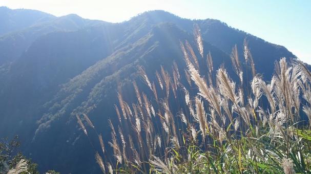 秋のはじまり 秋のはじまりの写真