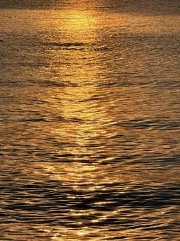 黄金の海 海,海面,きらきらの写真素材