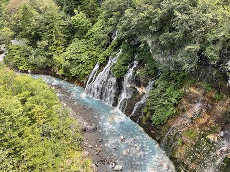 白ひげの滝 白ひげの滝の写真