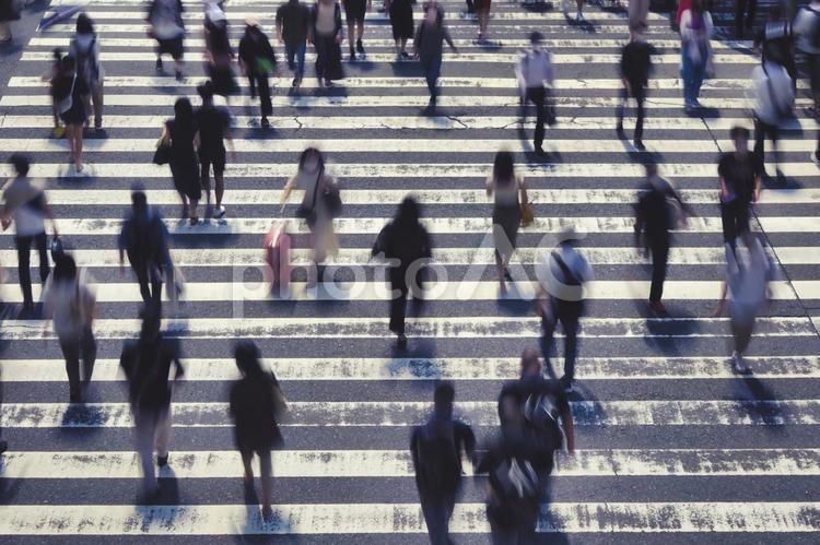 横断歩道を渡る人々 ビジネス,社会,不景気の写真素材