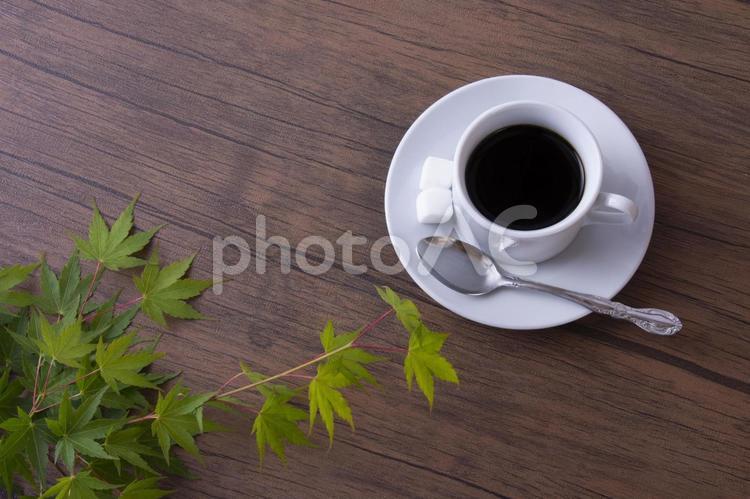 珈琲とモミジ　コーヒータイム コーヒー,葉,珈琲の写真素材