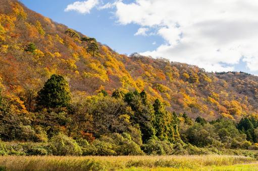 里山の紅葉⑷ 秋,紅葉,山の写真素材