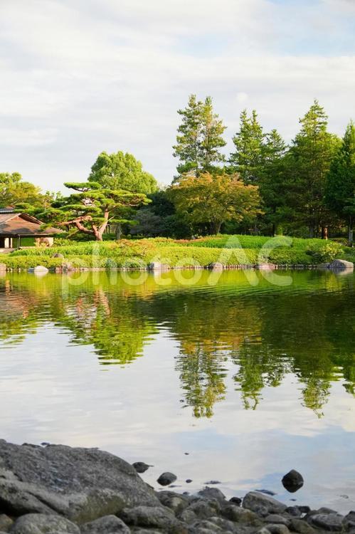 日本庭園　昭和記念公園　縦 日本庭園,昭和記念公園,池の写真素材