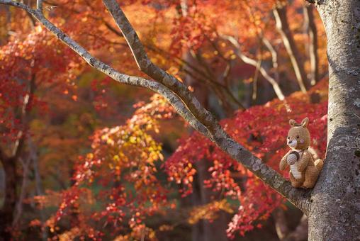 あ！！いた 秋,壁画,紅葉の写真素材