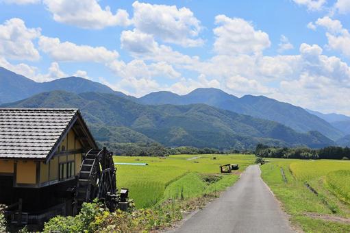 夏の貝田集落　１３ 大山,貝田集落,棚田の写真素材