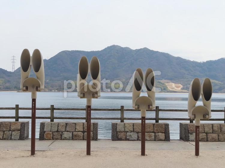 大久野島　うさぎの耳 動物,うさぎ,生き物の写真素材